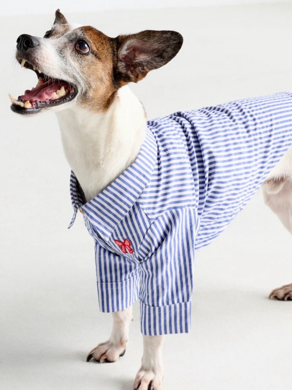 Anthropologie Furb Blue Striped Dog Shirt - Classic button down Pet Shirt